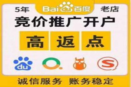 搜索引擎营销（SEM）服务案例分享
